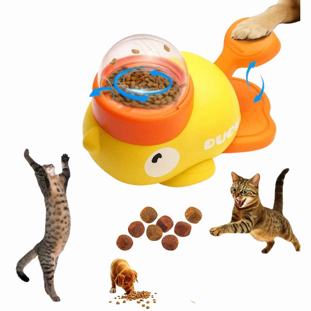 ¿Su felino manifiesta períodos prolongados de sedentarismo?