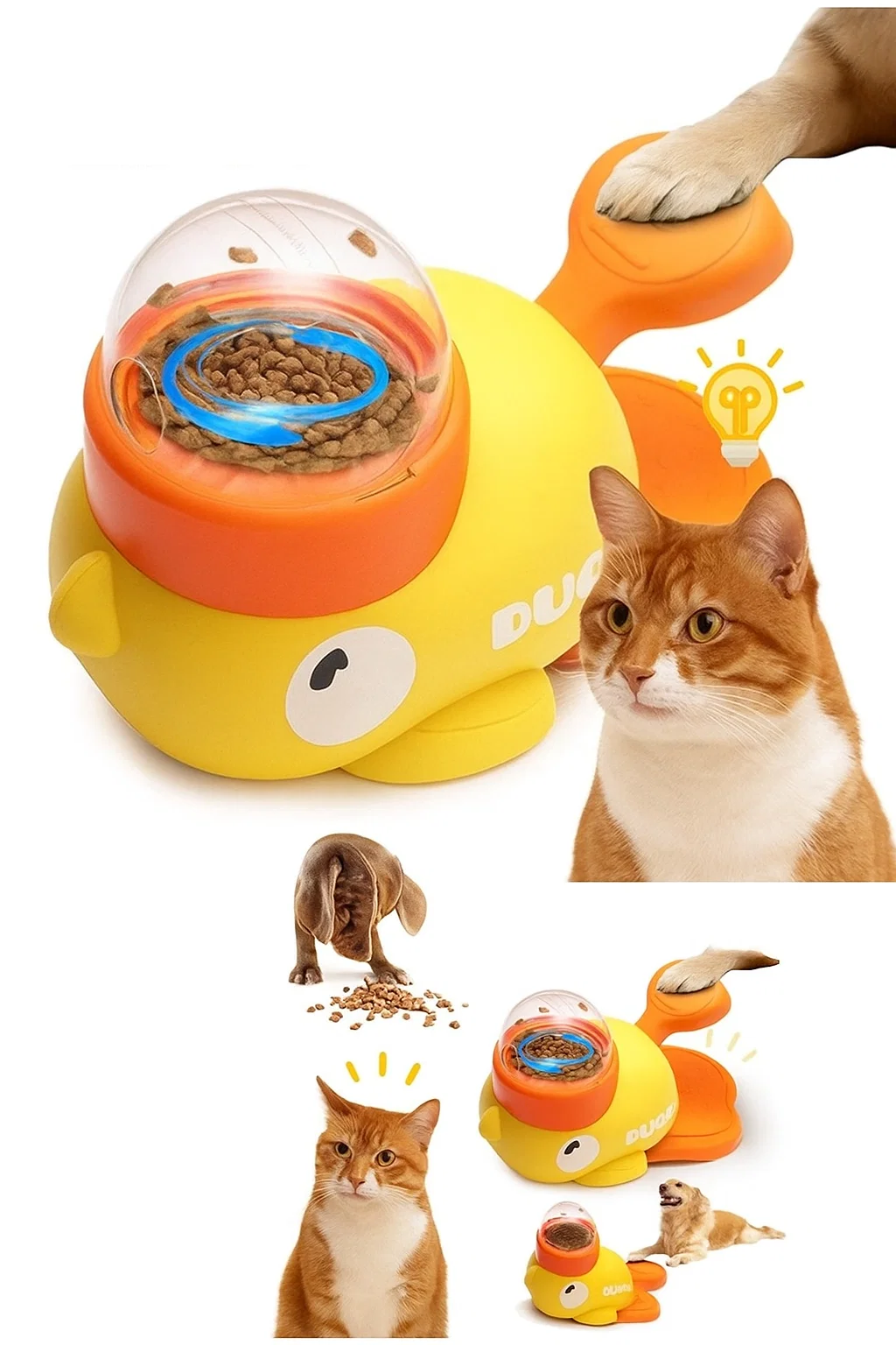 ¿Sabía que los felinos requieren estímulos cognitivos complejos?