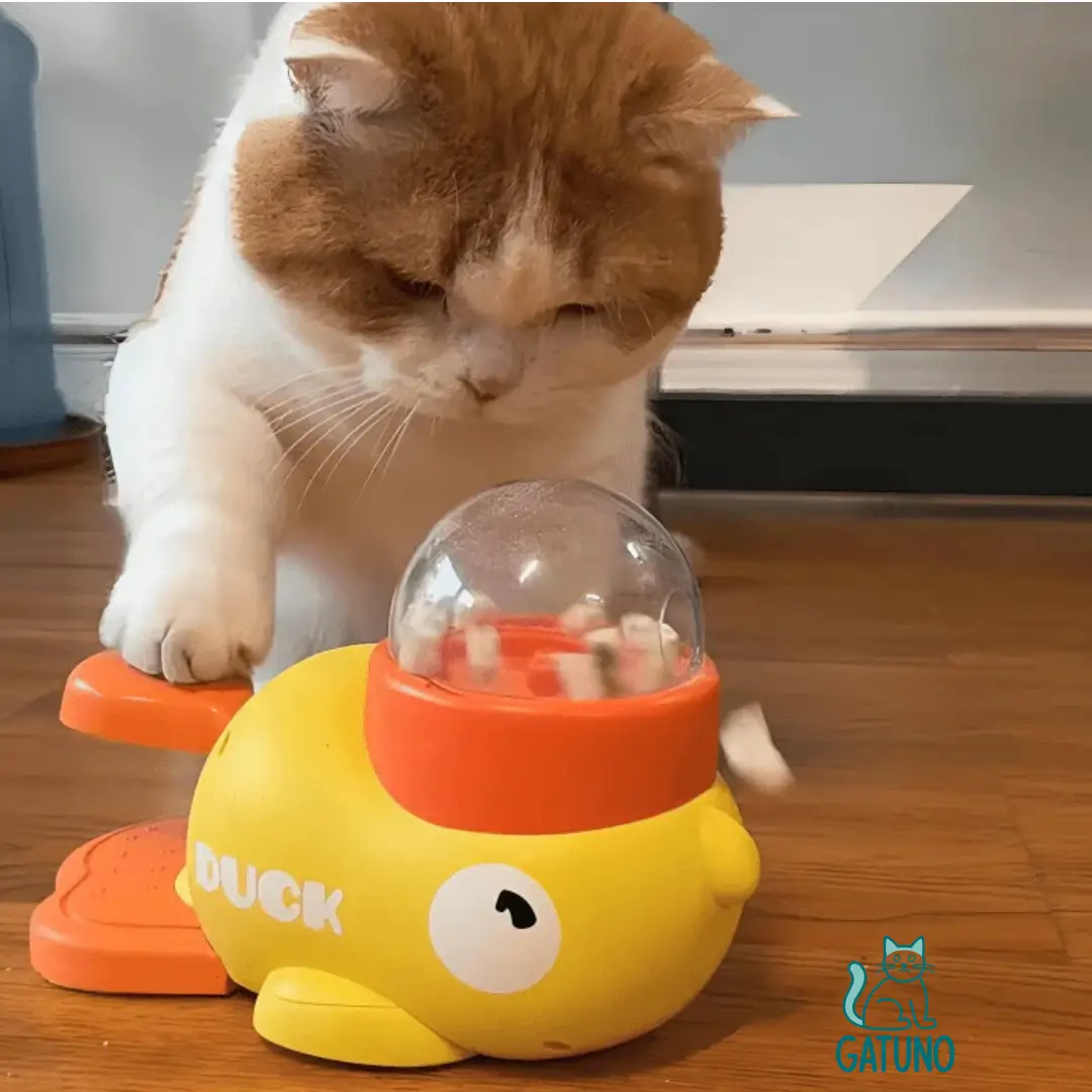 Exclusivamente diseñado para amantes exigentes de los felinos