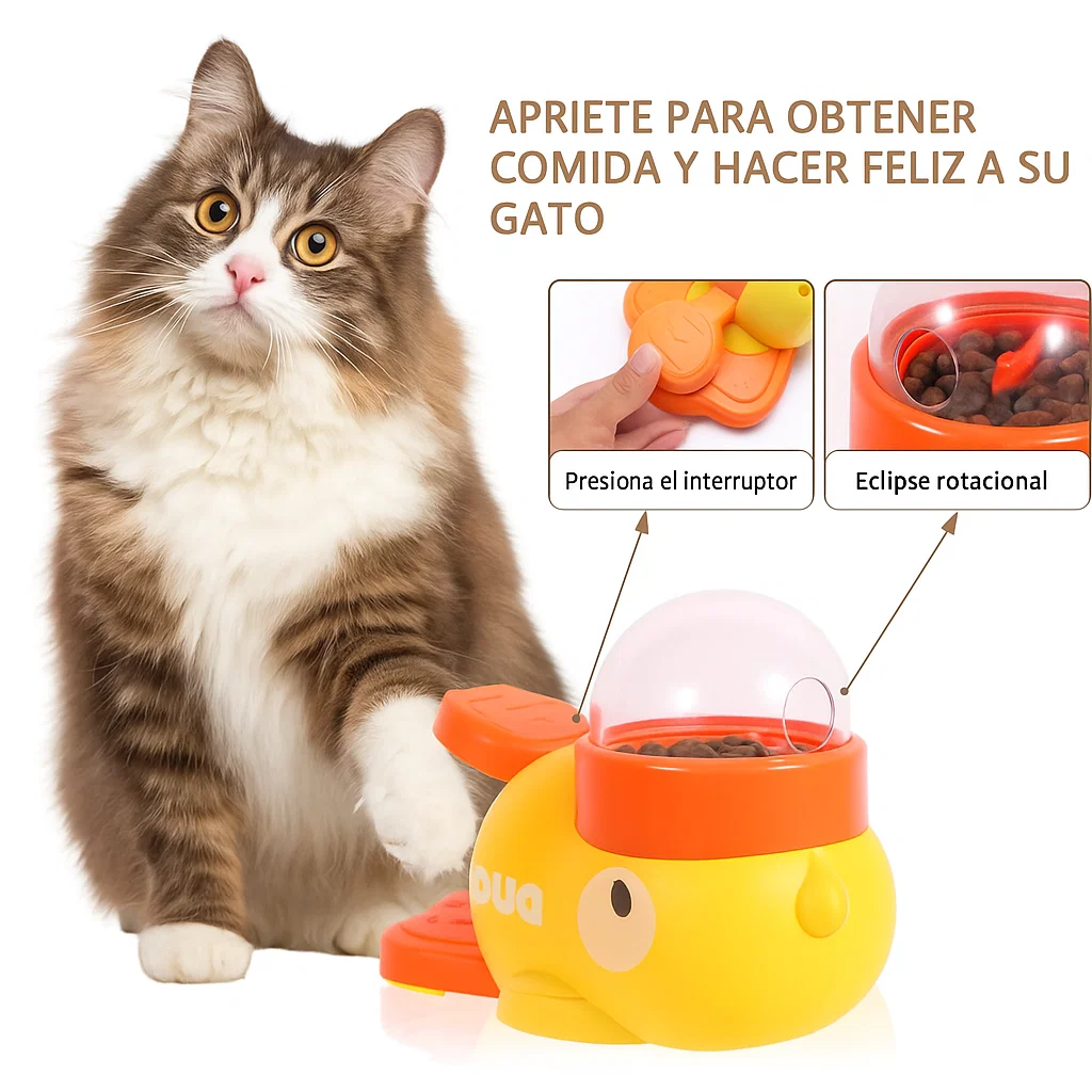 ¿Su felino presenta voracidad alimentaria seguida de regurgitación?